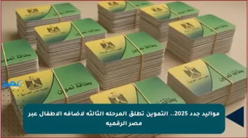 مواليد جدد 2025.. التموين تطلق المرحلة الثالثة لإضافة الأطفال عبر مصر الرقمية